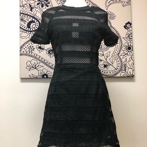AX Paris Black Chic Sheer Little Black Dress